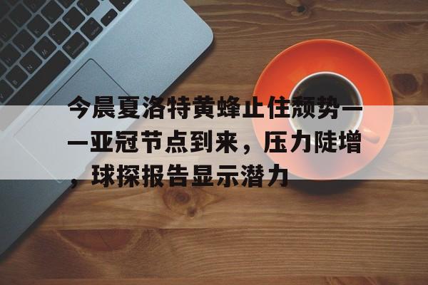  大黄蜂球队足球 -LoL S15竞赛