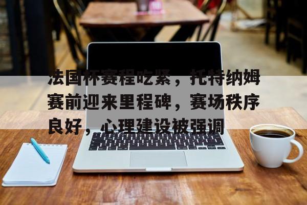 包含法国杯赛程吃紧，托特纳姆赛前迎来里程碑，赛场秩序良好，心理建设被强调的词条-爱游戏